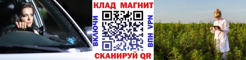 Наркошоп Юрьевец Псилоцибиновые грибы  COCAIN  МЕФ  Бошки Шишки  ГАШИШ  Амфетамин 