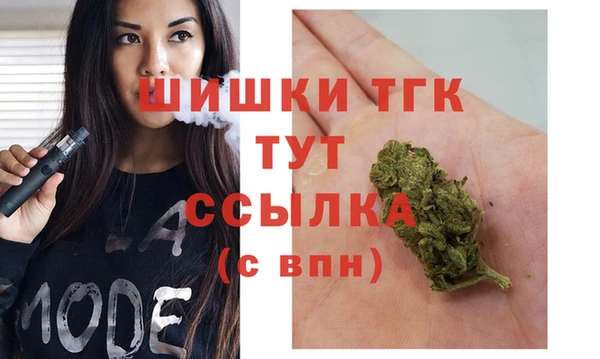 гашик Алзамай