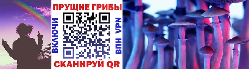 МЕГА ссылки  Юрьевец  Галлюциногенные грибы Magic Shrooms 